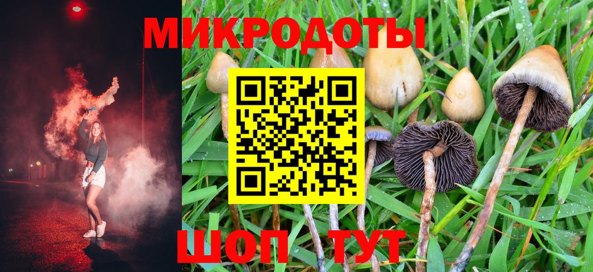 Долгопрудный  Псилоцибиновые грибы Cubensis  Вход с VPN 